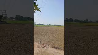 🚜farming haryana song desi farmer shorts [upl. by Susanetta]