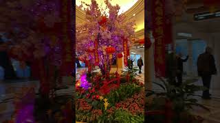 Beautiful Las Vegas Garden at Caesars Palace [upl. by Annelak225]