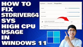 How To Fix Stdriver64sys with High CPU Usage in Windows 11 [upl. by Rocca]