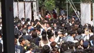 20130310 東大 入試合格発表 その１ [upl. by Kassie434]