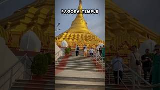 Pagoda Temple Enjoyed shorts [upl. by Tahp]