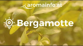 Bergamottöl  der Stimmungsaufheller [upl. by Freytag]