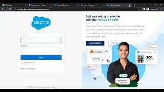 Profiles in Salesforce [upl. by Ettennad]