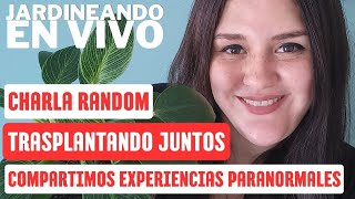 TRASPLANTANDO JUNTOS en Vivo Compartimos experiencias PARANORMALES y CHARLA RANDOM [upl. by Meuse452]