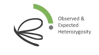 Observed and Expected Heterozygosity [upl. by Saimerej77]