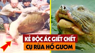 SỐC Lộ Diện Kẻ Xuống Tay Lấy Đi Mạng Sống Của Cụ Rùa Hồ Gươm  Người Dân Việt Nam Nghẹn Ngào [upl. by Pam469]