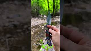 N690 steel hunter pocket knife 🤠 bushcraft forest predator hunting camping keşfet reels [upl. by Doretta548]