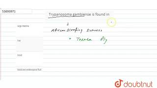 Trypanosoma gambiense is found in [upl. by Eldoria]