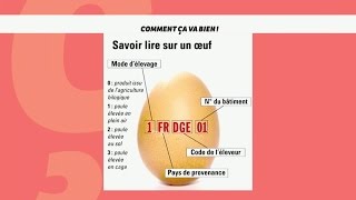 BIENETRE Les bienfaits de loeuf CCVB [upl. by Mandel]