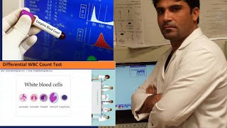 COMPLETE BLOOD COUNT AND DIFFRENCIAL LEUKOCYTE COUNT [upl. by Ayekel]