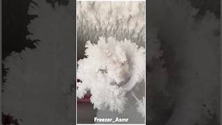 Humidifier Freezer frost ice eating asmr [upl. by Olegnaid537]