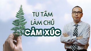 Tu Tâm  Cách Kiềm Chế Cảm Xúc  Trần Việt Quân [upl. by Mount136]