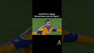 Qui est AndréPierre Gignac gignac goal tigres [upl. by Yluj]