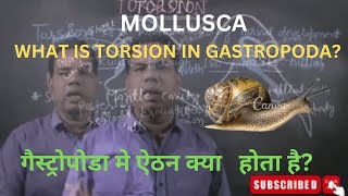 MOLLUSCA  WHAT IS TORSION IN GASTROPODA [upl. by Wiener879]