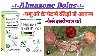 Almazone bolus albendazole tablet use in hindi useDosebenifits medicine medical raj pharmacy [upl. by Darcie364]