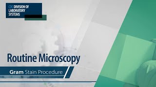 Routine Microscopy – Gram Stain Procedure [upl. by Eniluap]