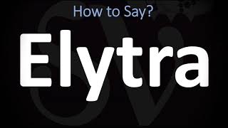 How to Pronounce Elytra CORRECTLY [upl. by Gnoht]