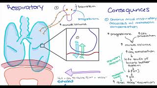 Maternal Changes in Pregnancy [upl. by Nagiam348]