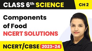 Class 6 Science Chapter 2  Components of Food  NCERT Solutions [upl. by Cirillo900]