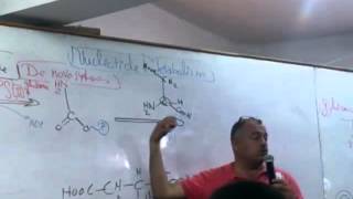 13 Pyrimidine Synthesis [upl. by Imak]