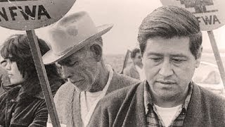 Cesar Chavez speaking at UCLA 10111972 [upl. by Godred487]