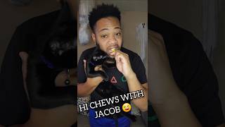 Hi chews with Jacob jacobthecat fyp viral [upl. by Cosme540]