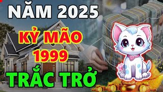 Tử vi tuổi KỶ MÃO 1999 năm 2025 NĂM ĐẦU TAM TAI dũng cảm đối diện sẽ vượt qua trở ngại [upl. by Attennyl]