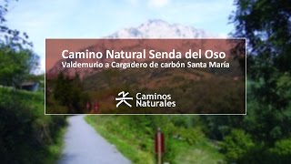 Camino Natural Senda del Oso [upl. by Airtened515]