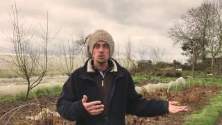 Édouard Stalin maraîcher à la ferme de la Mare des Rufaux [upl. by Grory]