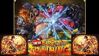 OPTC ACE VS BLACKBEARD FOREST [upl. by Roseline]