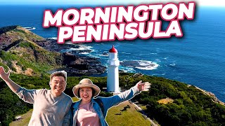 MORNINGTON PENINSULA Victoria Australia  Top Things To See and Do Must Visit Attractions [upl. by Soutor]