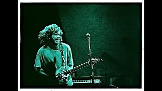 Phish  Tela  6191995 [upl. by Hcire332]