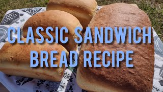 Homemade Sandwich Bread  White Flour Yeast Bread [upl. by Darcia]