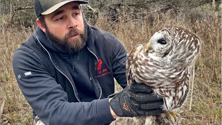 I Caught an Owl [upl. by Moffitt]