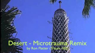 Ron Flatter  Desert Microtrauma remix Traum 182 [upl. by Nolad441]