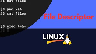 Linux File Descriptors [upl. by Anavlis]