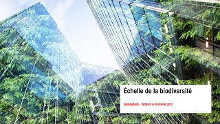 Échelle de la biodiversité [upl. by Nathalia680]