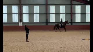 SRUC Equine Studies [upl. by Gen]