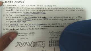 Restriction enzyme class 12 biotechnology [upl. by Ekalb]