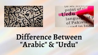 Difference Between Arabic and Urdu  Unraveling the Intricacies of Arabic and Urdu [upl. by Angelia]