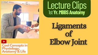 Lecture Clip Anatomy of Ligaments of Elbow Joint  1st Year MBBS [upl. by Christenson]