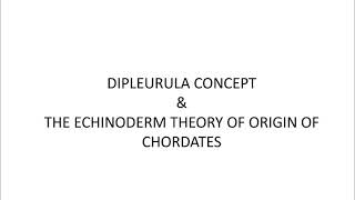 Biology with sonali biology zoology oas Dipleurulaconcept  Dipleurula Concept [upl. by Hildebrandt]