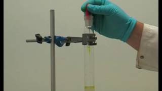 Column chromatography  Chemistry [upl. by Eladroc]