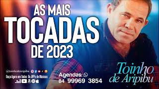 Toinho de Aripibu  AS MAIS TOCADAS DE 2023 [upl. by Dnanidref630]