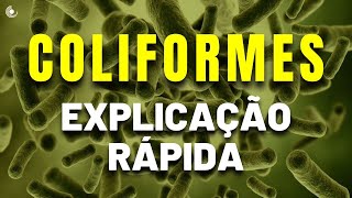 O que são os COLIFORMES  Saiba tudo sobre esses indicadores de contaminação da água [upl. by Maighdlin]