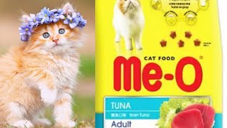 MeO Cat food 2019 hindiUrdu [upl. by Ahsial]