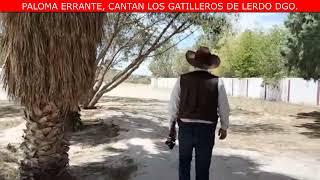 PALOMA ERRANTE CANTAN LOS GATILLEROS DE LERDO DURANGO [upl. by Candida]