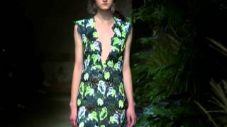 Spring Summer 2015 Show  ERDEM [upl. by Aneetsirk]