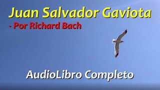 Juan Salvador Gaviota AUDIOLIBRO COMPLETO [upl. by Costa]