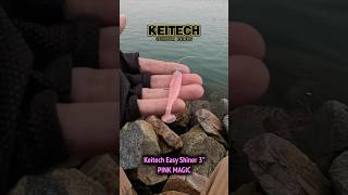 Keitech Easy Shiner PINK MAGIC [upl. by Xavler]